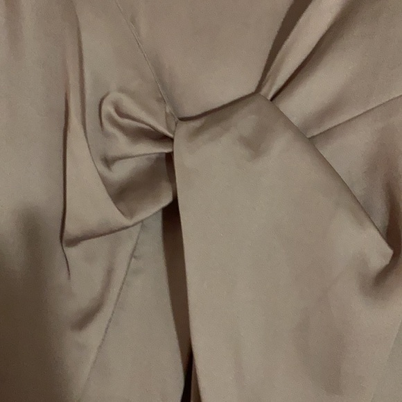 Violet & Claire Rose Dress Blouse NWOT - Picture 2 of 5